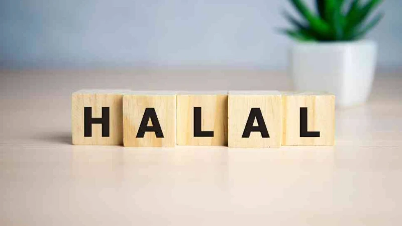 Tahun 2026 Skincare & Kosmetik Wajib Halal: Peluang Besar untuk Brand Owner